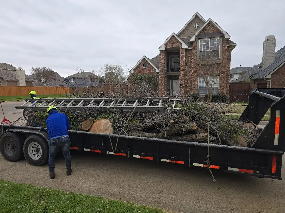 Expert Tree Removal with proper safety equipment in McCammon